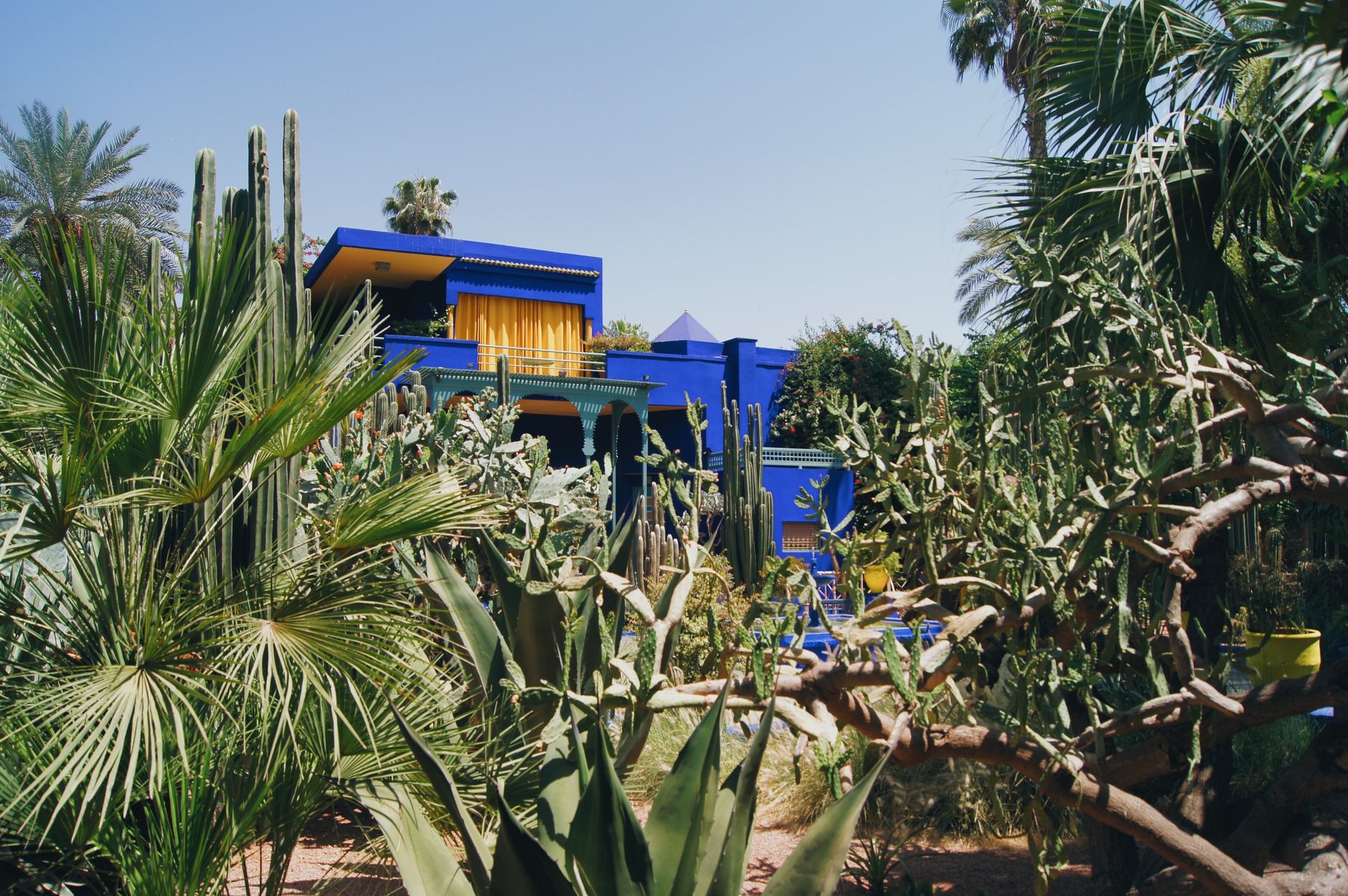 Villa bleue du Jardin Majorelle entourée de plantes exotiques et de cactus